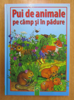 Pui de animale pe camp si in padure