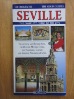 Seville. The Complete Guide to the City