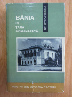St. Stefanescu - Bania in Tara Romaneasca