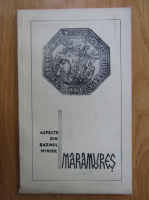 V. Beregic - Aspecte din bazinul minier Maramures