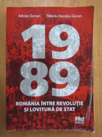Adrian Gorun - 1989. Romania intre revolutie si lovitura de stat