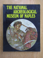 Alfonso de Franciscis - The National Archeological Museum of Naples