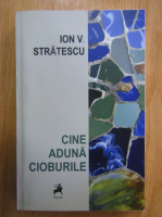 Ion V. Stratescu - Cine aduna cioburile