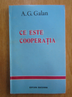 A. G. Galan - Ce este cooperatia