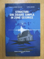 Andrei Cosmin Turcanu - Structuri din zidarie simpla in zone seismice