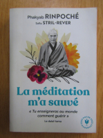 Phakyab Rinpoche - La meditation m'a sauve