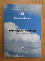 Constantin Enescu - Prin negura reformei