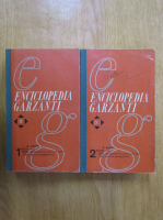 Enciclopedia Garzanti (2 volume)