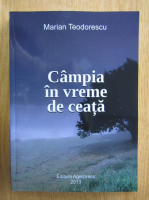 Anticariat: Marian Teodorescu - Campia in vreme de ceata