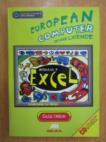 Bernhard Eder - European Computer Driving Licence. Excel, modulul 4