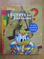 Que sais-tu de l'Egypte des Pharaons?