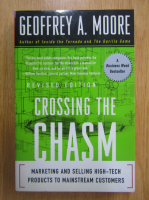 Geoffrey A. Moore - Crossing the Chasm