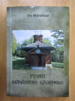 Ilie Mandricel - Fosta Manastire Gavanele