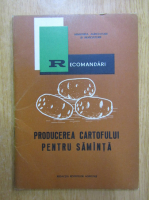 Producerea cartofului pentru samanta