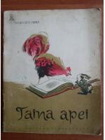 Horvath Imre - Taina apei