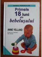 Anne Yelland - Primele 18 luni ale bebelusului