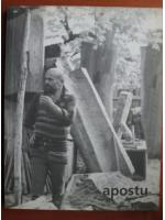 George Apostu 1934-1986. Sculptura, desen
