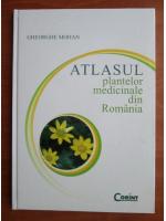 Gheorghe Mohan - Atlasul plantelor medicinale din Romania
