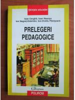 Ioan Cerghit - Prelegeri pedagogice
