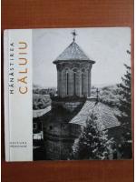 Anticariat: Manastirea Caluiu