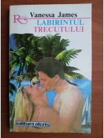 Vanessa James - Labirintul trecutului