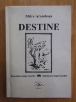 Mitre Arambasa - Destine
