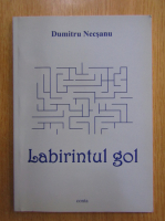 Anticariat: Dumitru Necsanu - Labirintul gol