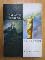 Emil Constantin - Dar acum ochii mei, te-au vazut