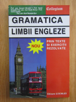Gramatica limbii engleze prin texte si exercitii rezolvate