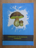 Cunoasteti si valorificati ciupercile