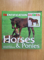David Burn - Horses and Ponies