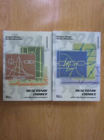 Grigore Bozga - Reactoare chimice (2 volume)