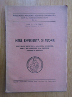 Ion G. Popescu - Intre experienta si teorie