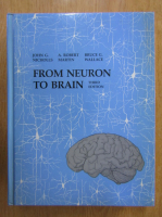 Anticariat: John G. Nicholls - From Neuron to Brain