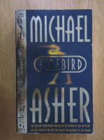 Michael Asher - Firebird