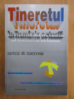 Tineretul in Romania actuala. Sinteze de cercetare