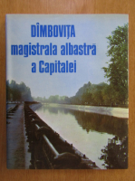 Anticariat: Dambovita, magistrala albastra a capitalei