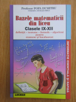 Dumitru Popa - Bazele matematicii din liceu. Clasele IX-XII