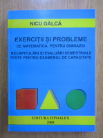 Nicu Galca - Exercitii si probleme de matematica pentru gimnaziu