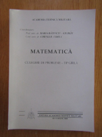 Maria Batinetu Giurgiu - Matematica