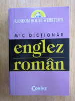 Anticariat: Mic dictionar englez-roman