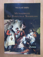 Nicolae Sabau - Metamorfoze ale barocului transilvan, volumul 2. Pictura