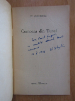 Anticariat: Stefan Gheorghiu - Comoara din tunel (cu autograful autorului)