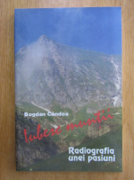 Bogdan Candea - Iubesc muntii