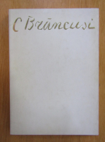 Constantin Brancusi. Plastiken-Zeichnungen
