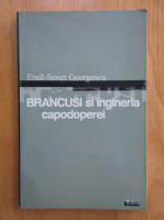 Emil Sever Georgescu - Brancusi si ingineria capodoperei