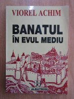 Viorel Achim - Banatul in Evul Mediu