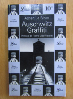 Adrien le Bihan - Auschwitz graffiti