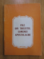 File din trecutul Comunei Apostolache