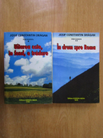 Josif Constantin Dragan - Uitarea este, in fond, o tradare (2 volume)